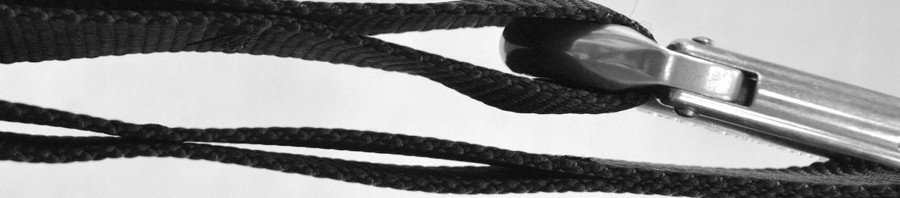 competition-straps-2_2